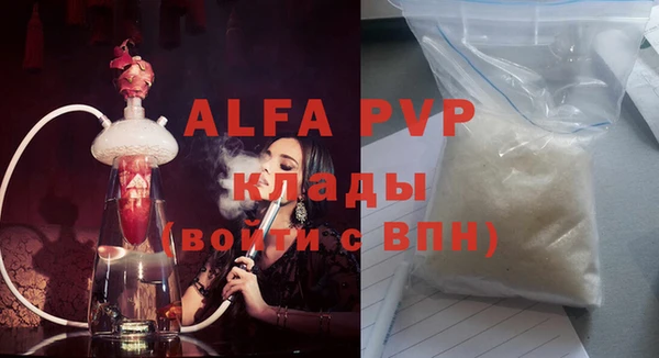 прущие грибы Гусиноозёрск