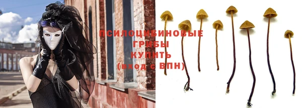 эйфоретик Белоозёрский