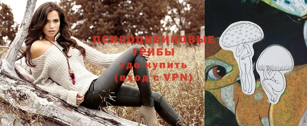 таблы Гусев