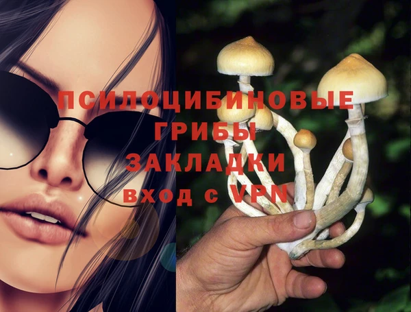 эйфоретик Белоозёрский
