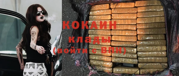 таблы Гусев