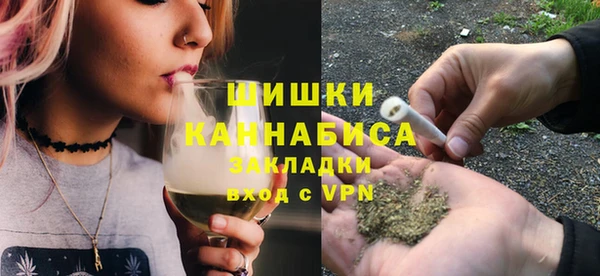мдпв Гусь-Хрустальный