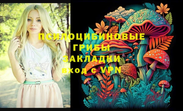 мдпв Гусь-Хрустальный