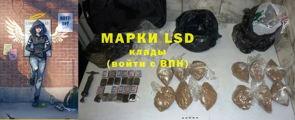 таблы Гусев