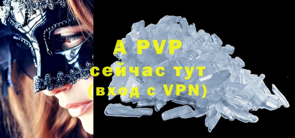 прущие грибы Гусиноозёрск