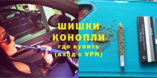 таблы Гусев