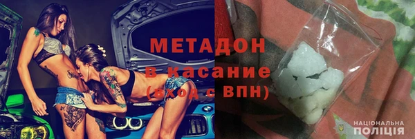 прущие грибы Гусиноозёрск
